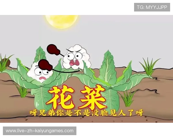 -Ý¥¦Ë¦ã°Á++++-ð-¦¦